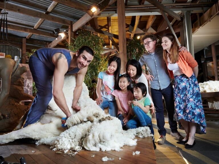 national wool museum geelong 768x576